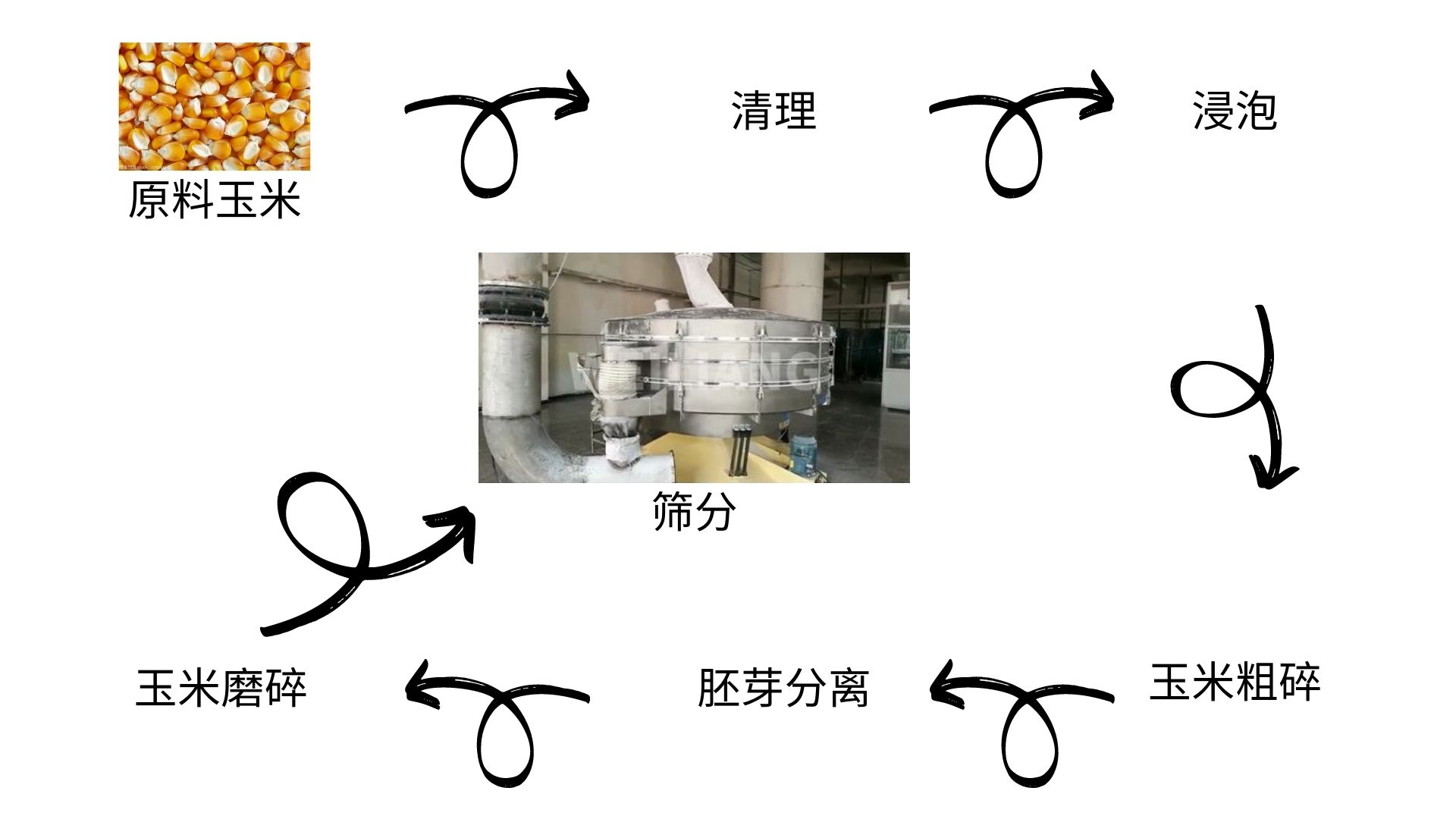 玉米淀粉制作流程